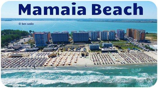 Mackerel Mamaia Nord